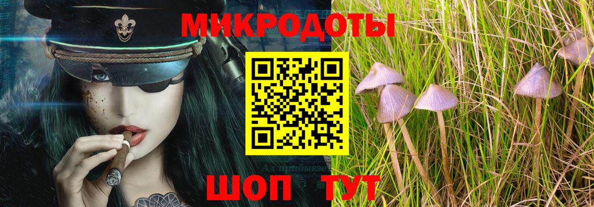 Галлюциногенные грибы Magic Shrooms Канск